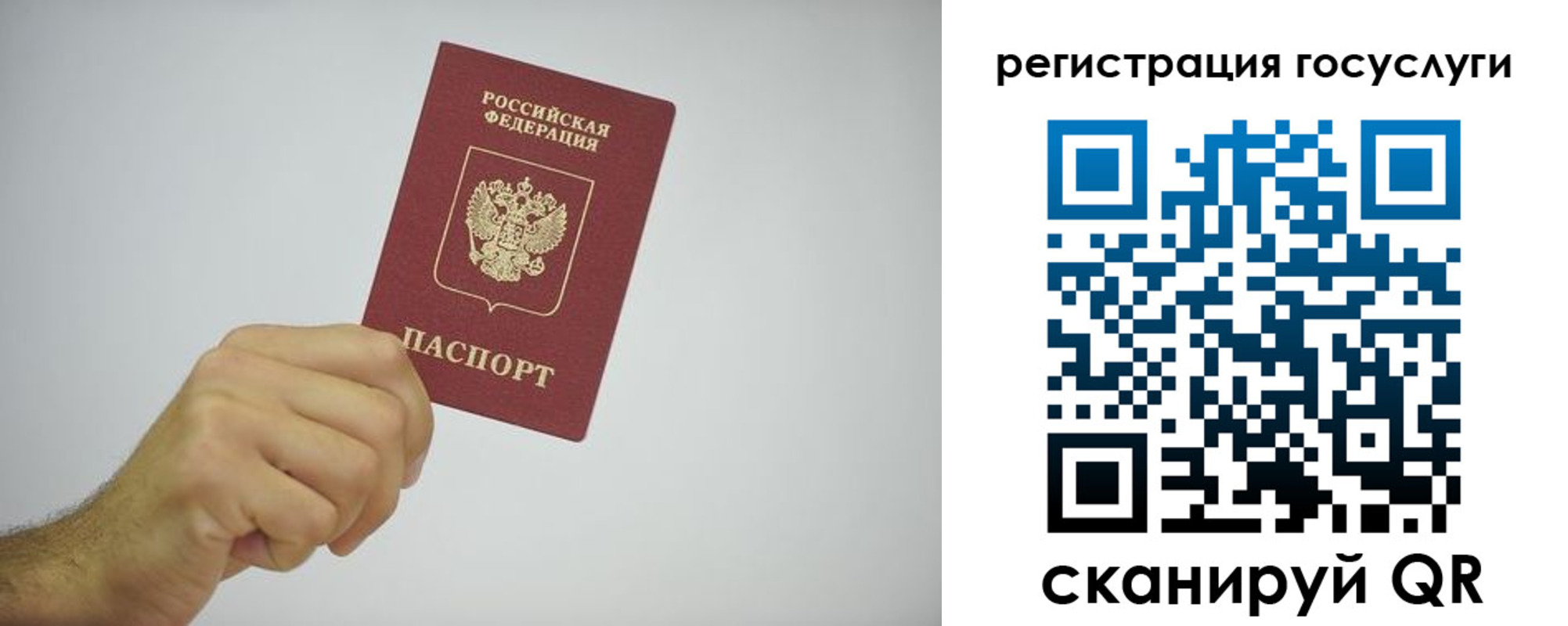 временная регистрация гарантия в Выборге